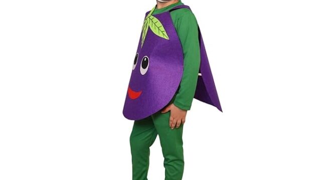 Brinjal Vegetable Cutout Costume for Kids