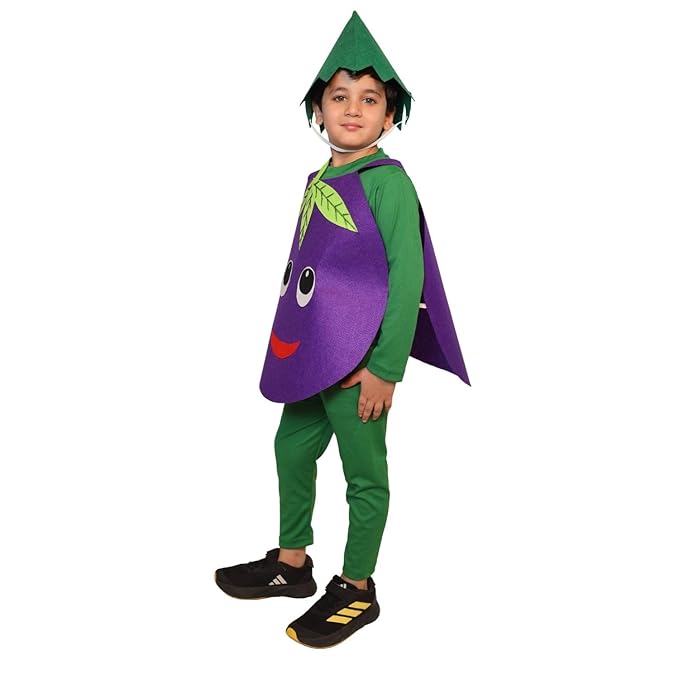 Brinjal Vegetable Cutout Costume for Kids